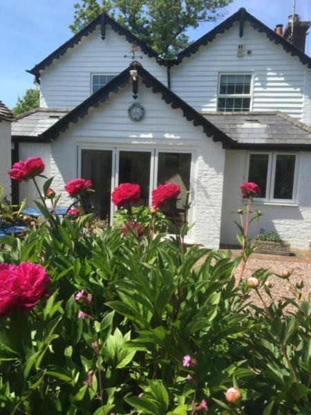 Wishing Well Cottage Wilmington  Ngoại thất bức ảnh